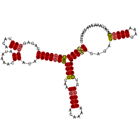 secondary structure