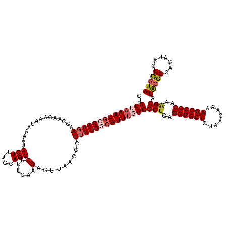 secondary structure