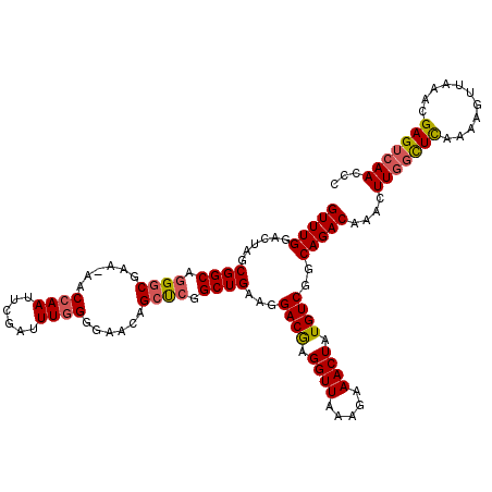 secondary structure