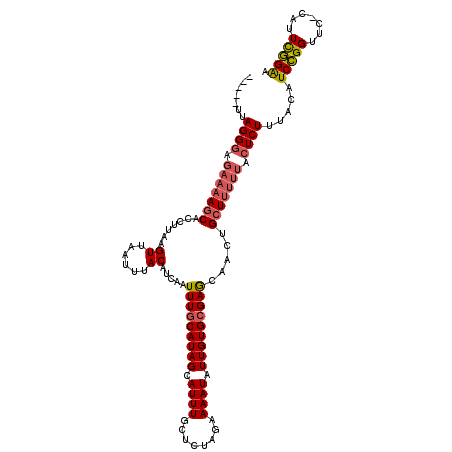 secondary structure