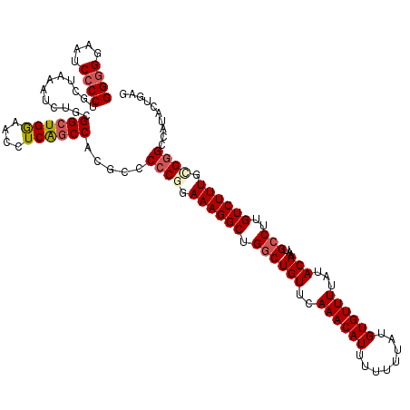 secondary structure
