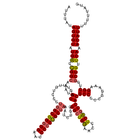 secondary structure