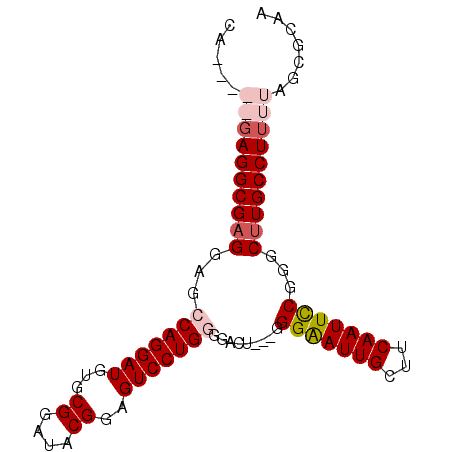 secondary structure