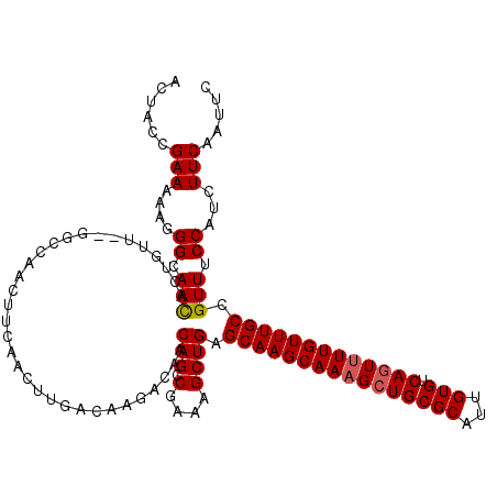 secondary structure