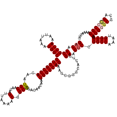 secondary structure