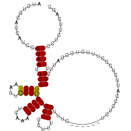 secondary structure