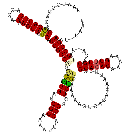 secondary structure
