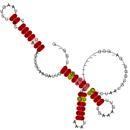 secondary structure
