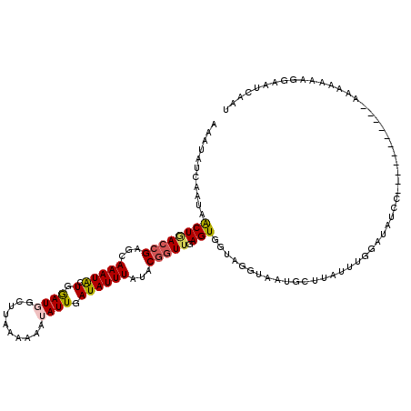 secondary structure