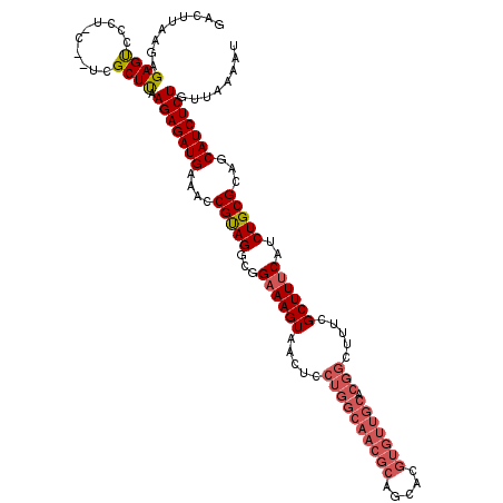 secondary structure