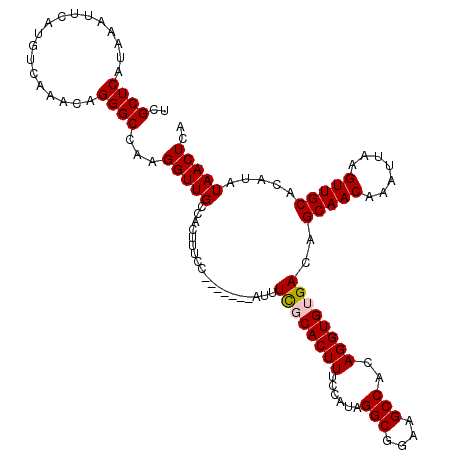 secondary structure