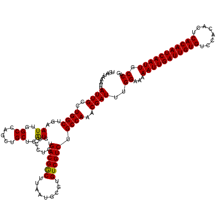 secondary structure