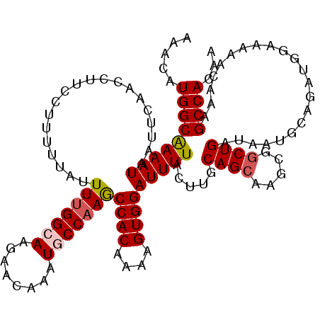 secondary structure