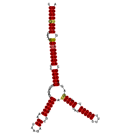 secondary structure