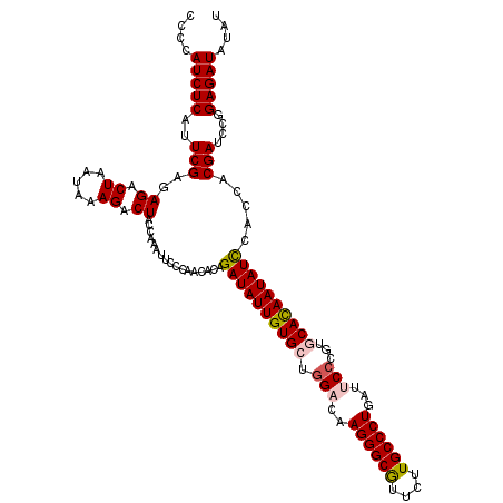 secondary structure