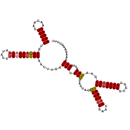 secondary structure
