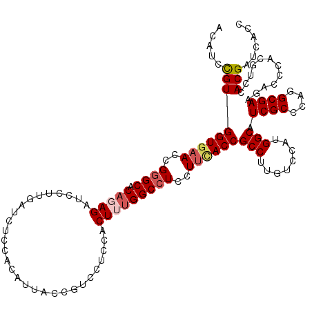 secondary structure
