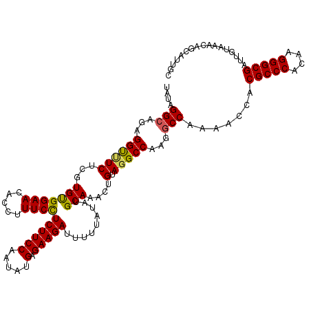 secondary structure