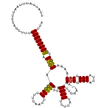 secondary structure