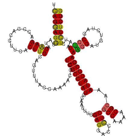 secondary structure