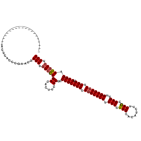 secondary structure