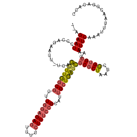 secondary structure