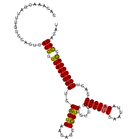 secondary structure