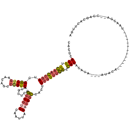 secondary structure