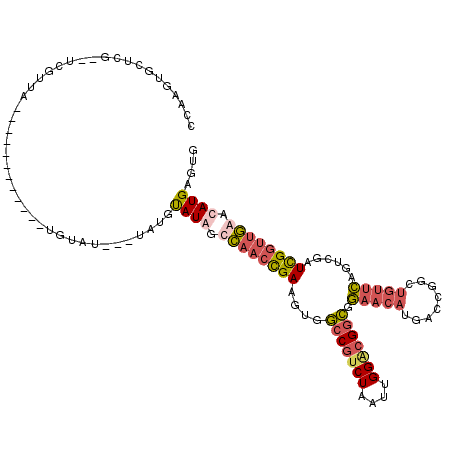 secondary structure