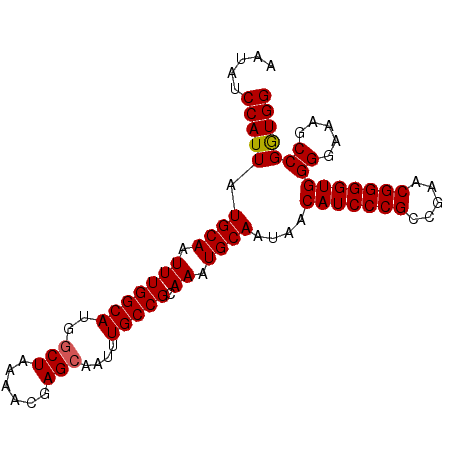 secondary structure