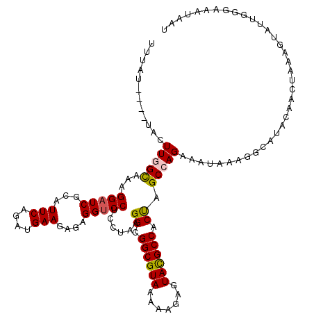 secondary structure