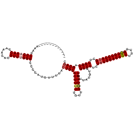 secondary structure