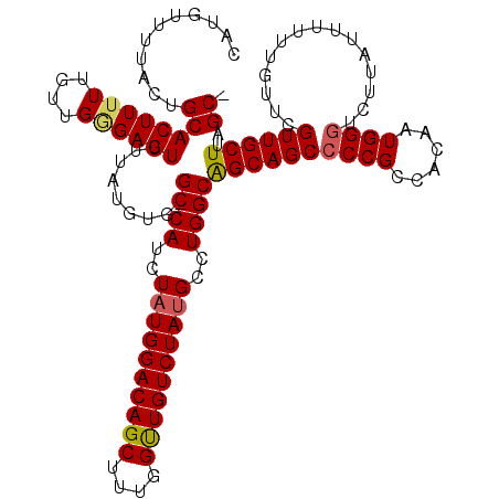 secondary structure