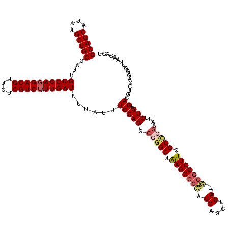 secondary structure
