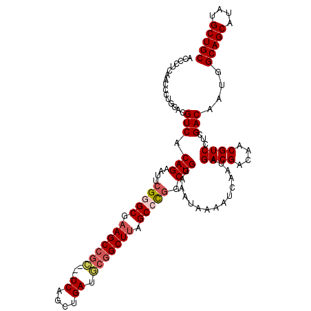 secondary structure