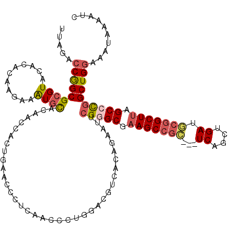 secondary structure