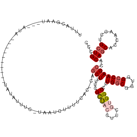 secondary structure