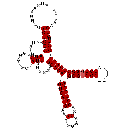 secondary structure