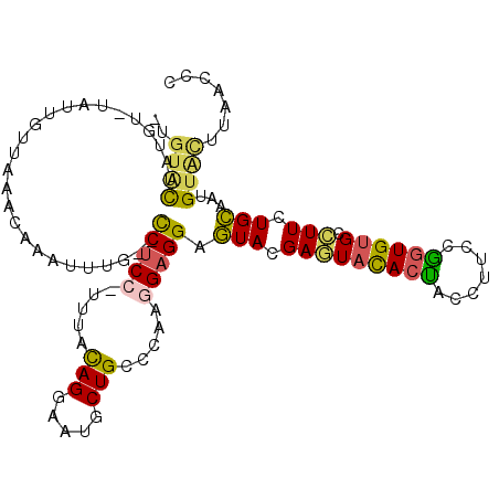 secondary structure