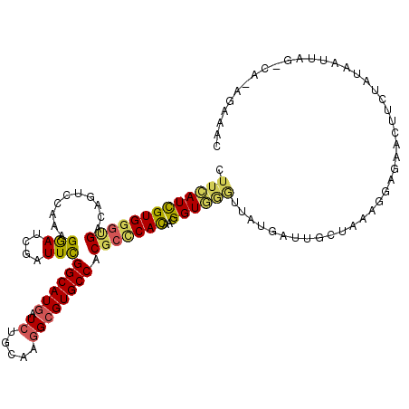 secondary structure