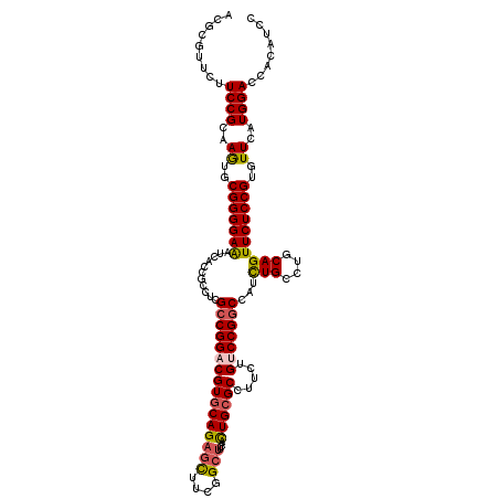 secondary structure