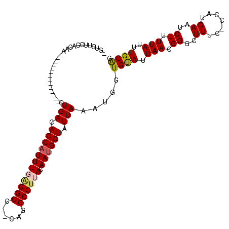 secondary structure