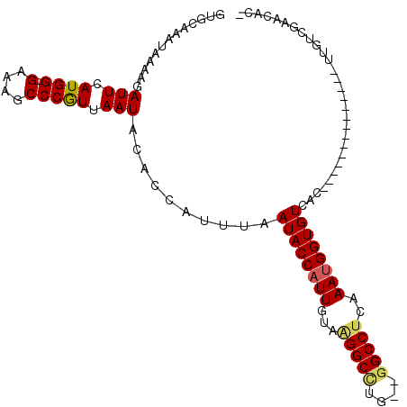 secondary structure