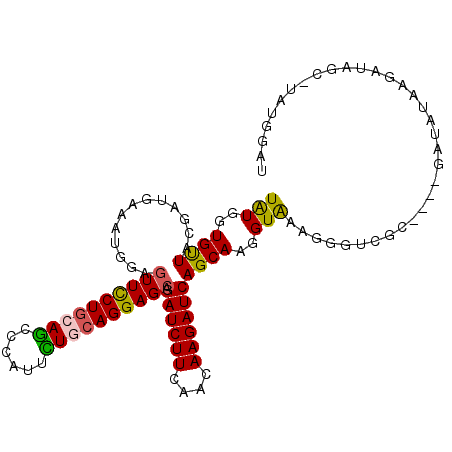 secondary structure