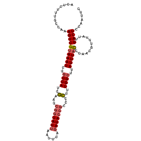 secondary structure