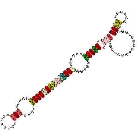 secondary structure