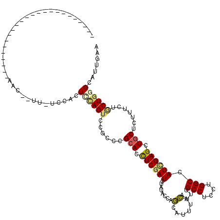 secondary structure