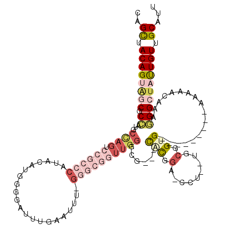 secondary structure