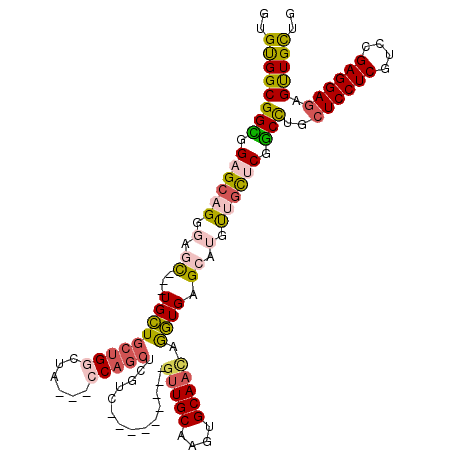 secondary structure
