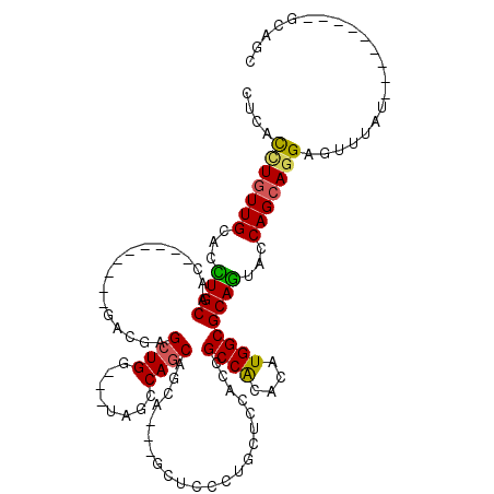 secondary structure
